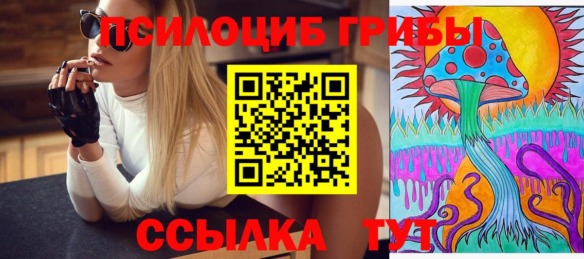 Псилоцибиновые грибы прущие грибы Советская Гавань